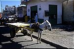 hurghada-transports