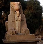 karnak-loewe