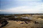 Ostkueste-Strand-a
