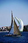 Sidney 12er im Hafen