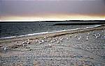 Sidney Bottany Bay