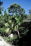 florida-keys-3
