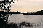 everglades-a