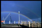 01regenbogenlemmer.jpg