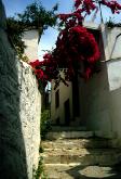 11aufskiathos.jpg
