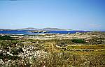 delos-reede