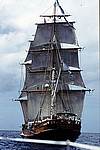 Brigg-von-hinten