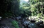 martinique-bach
