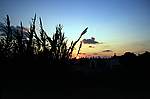 friedhof-bonifatio-sundown