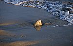stein_im_wasser
