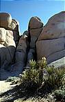 Joshua Tree NP Jumbo Rocks