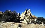 Joshua Tree NP Jumbo Rocks