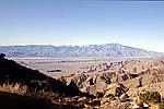 joshua-tree-7