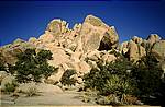joshua-tree-jumbo-rocks