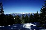 sequoia-np-1