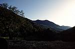 sequoia-np-2